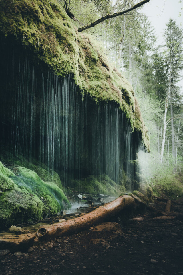 Kleiner Moos-Wasserfall in der Wutachschlucht
