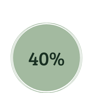 Grüne Illustration mit 40%