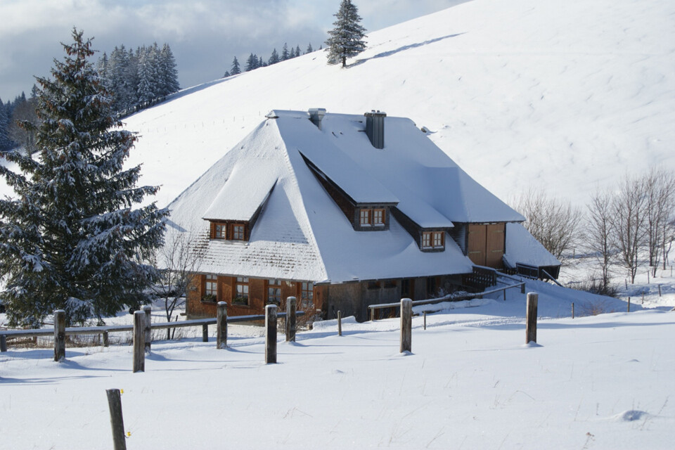 Die Hütte ist eine Almgaststätte auf 1120 Metern Höhe östlich unterhalb des Hinterwaldkopfs (1198 m).