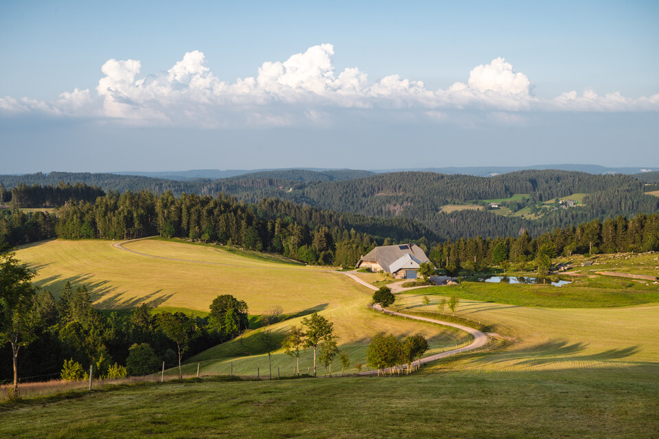 Landschaft bei Rohrhardsberg