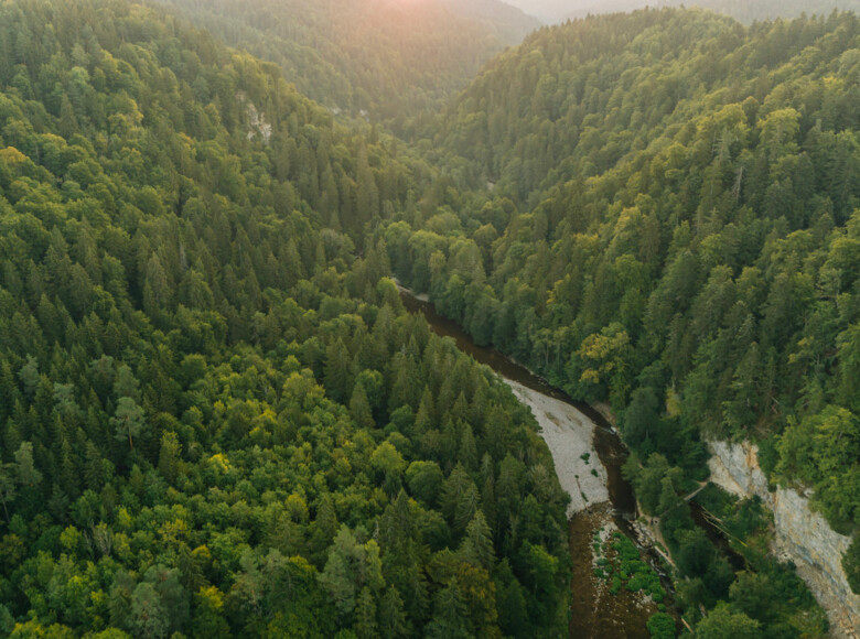 Die Wutach fließt durch die Wutachschlucht