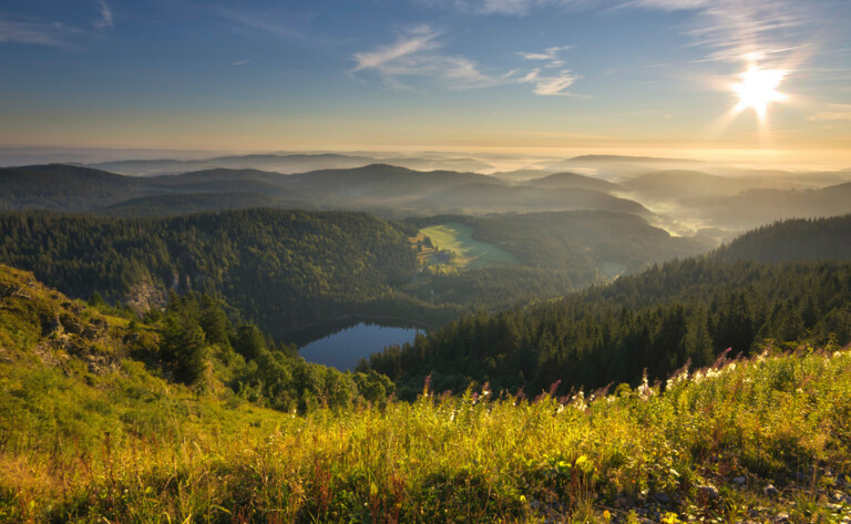 Vom Feldberg hat man eine tolle Aussicht auf den Feldsee