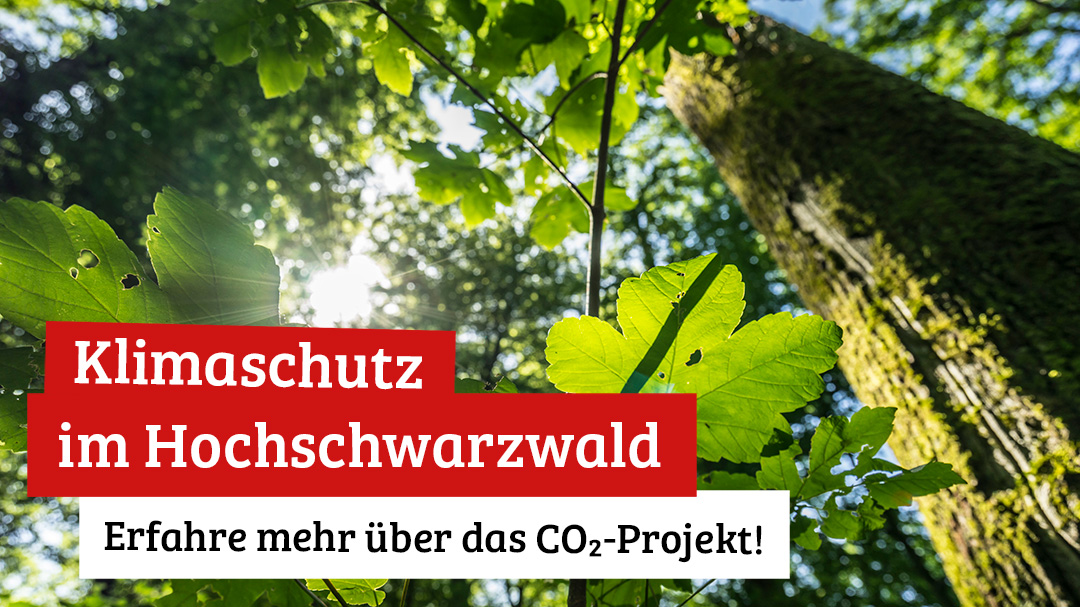 Klimaschutz im Hochschwarzwald - Erfahre mehr über das CO₂ -Projekt (16x9)