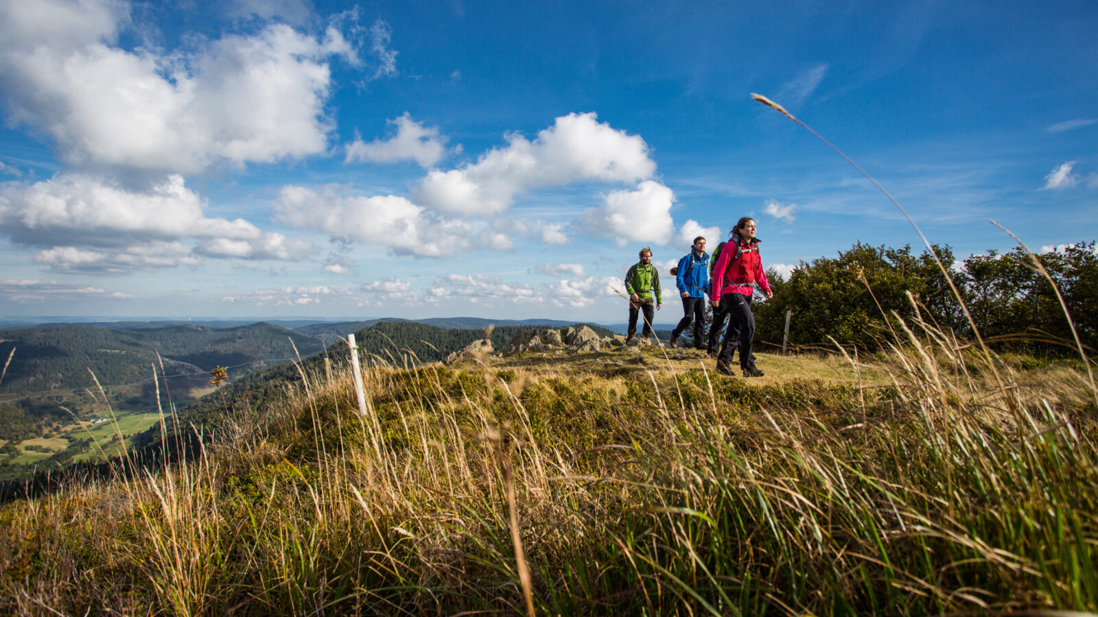Gruppe wandert bei traumhaften Wetter am Herzogenhorn