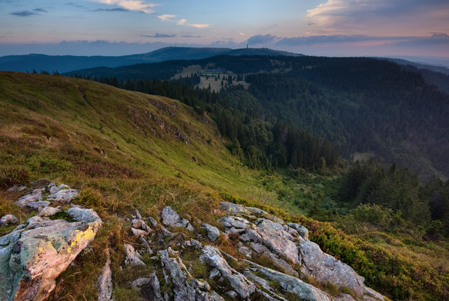 Blick zum Feldbergturm