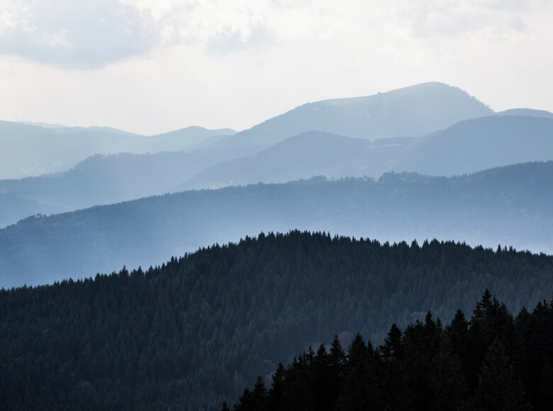 Nach dem Aufstieg auf das Herzogenhorn wartet ein wunderschönes Schwarzwald-Panorama 