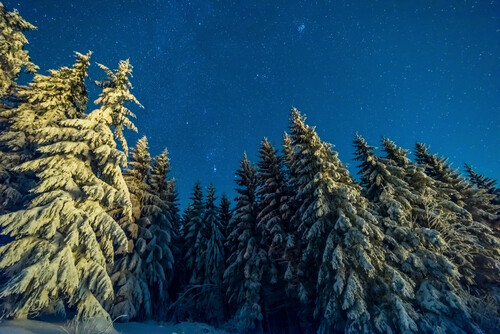 Sternenhimmel im Hochschwarzwald