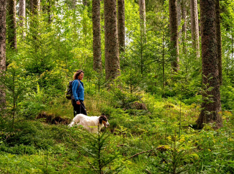 Wanderin mit Hund in der eindrucksvollen Hochschwarzwaldlandschaft